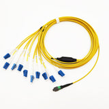 CFP CXP CPAK 100G LR10 10x10G MTP to 10x LC Duplex Singlemode Fiber Breakout Cable